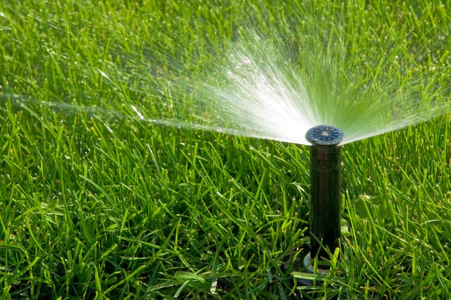 A close up of an automatic irrigation sprinkler watering a green lawn. 