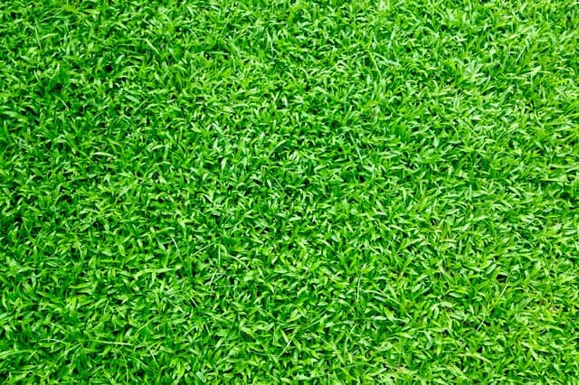 A close up photo of green synthetic turf.