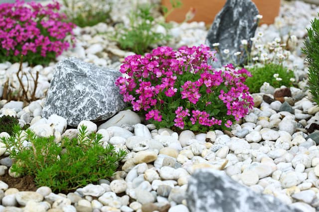 A garden with pink flowers and green bushes landscaped with stones and rocks.   
